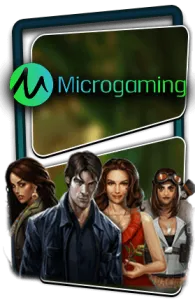 microgaming-new-195x300-1